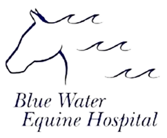 Blue-Water-Equine-Hospital-Transparent-logo